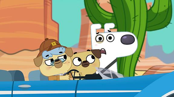 Dog Loves Questions and Answers